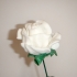 Rose Blossom Tops print image