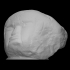 Giant Stone Head of Monte Alto [2] image