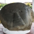Giant Stone Head of Monte Alto [2] image