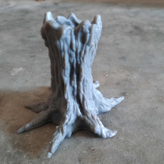 Picture of print of Old Tree Spirit