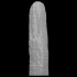 Stele D of Quirigua image