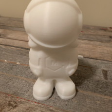Picture of print of 3D Phil