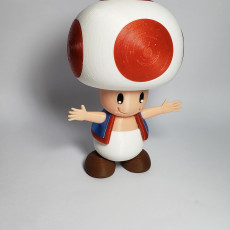 Picture of print of Toad from Mario games - Multi-color