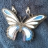 papillon bleu collier image