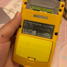 Picture of print of Gameboy Color Battery Cover