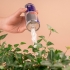 WET HEAD: A Self-Watering Device for Planters image