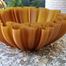 Picture of print of Wavy Bowl
