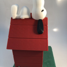 Picture of print of Snoopy This print has been uploaded by David Waugh