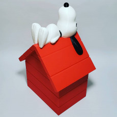 Picture of print of Snoopy This print has been uploaded by Luis Albero