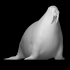 Walrus (no base) image