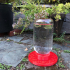 Bee Feeder and Waterer print image