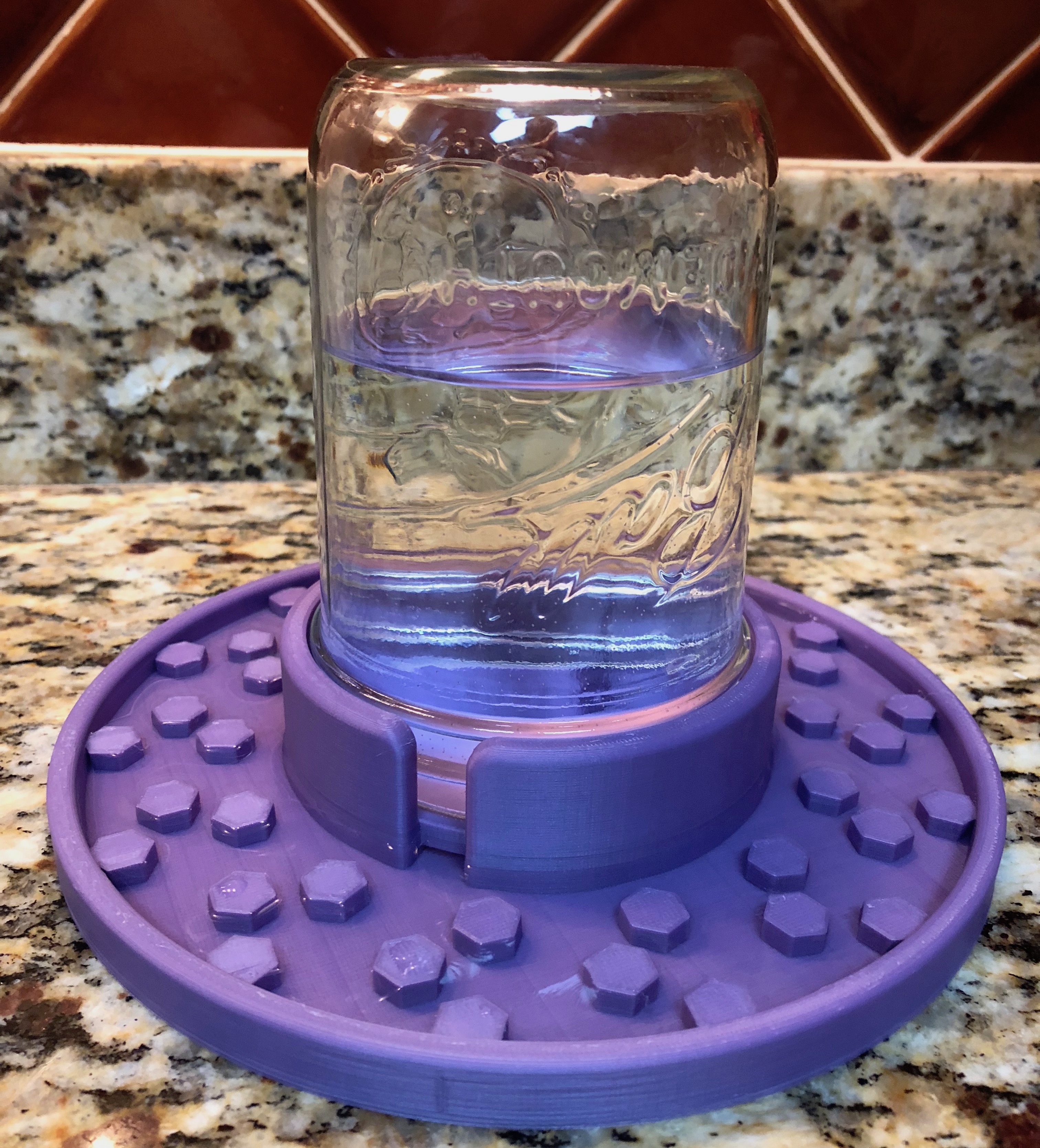 Bee Feeder and Waterer