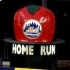 NY Mets Home Run Apple and Shea Stadium image
