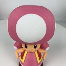 Picture of print of Toadette from Mario games - Multi-color This print has been uploaded by Andrew Wu
