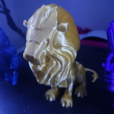 Picture of print of Stormwind Lion Statue This print has been uploaded by Dusan Cutino