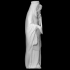 Virgin Mary image