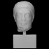Head of a Bearded Man from a Grave or Votive Statue image