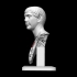 Trajan's Thermae image