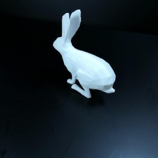 Picture of print of rabbit 3D