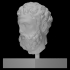 Head from the Funerary Monument of an Athenian Officer image