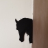 shadow of a horse and a dog image