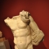 Torso of a Hellenistic Ruler or Hero image