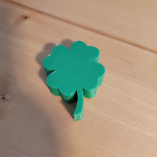 Picture of print of four leaf clover with secret compartment