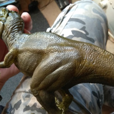 Picture of print of Tyrannosaurus Rex Figurine 3D Scan This print has been uploaded by JiriStodulka