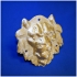 Metal Lion Head 3D Scan image