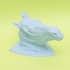 Horse Head image