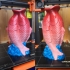 Fish Sculpture Vase print image