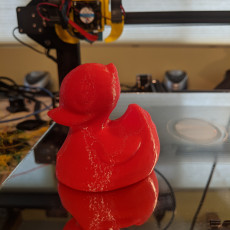 Picture of print of Rubber Ducky (Royal Guard) 3D Scan This print has been uploaded by Patrick Coy