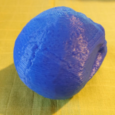 Picture of print of Skull Sculpture 3D Scan (Including Hollow Version)