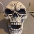 Skull Sculpture 3D Scan (Including Hollow Version) image