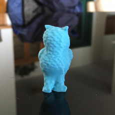 Picture of print of Owl Sculpture 3D Scan