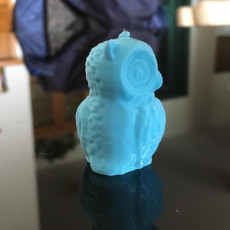 Picture of print of Owl Sculpture 3D Scan