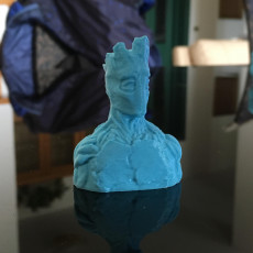 Picture of print of Groot Sculpture This print has been uploaded by Michele Paini