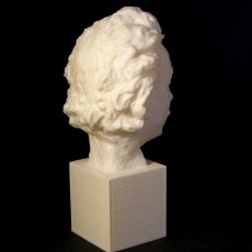 Picture of print of Einstein Bust 3D Scan (Jo Davidson) This print has been uploaded by Vaclav Krmela