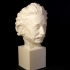 Einstein Bust 3D Scan (Jo Davidson) image