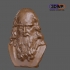 Leonardo Da Vinci Bust 3D Scan image