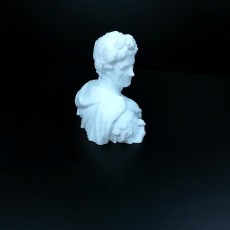Picture of print of Julius Caesar Bust (3D Scan)