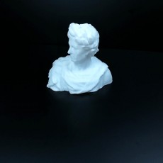 Picture of print of Julius Caesar Bust (3D Scan)