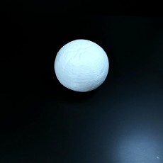 Picture of print of Orange 3D Scan