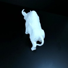Picture of print of Bull Sculpture