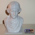 Aphrodite Bust (Sculpture 3D Scan) image