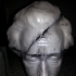 Albert Einstein Bust 3D Scan image