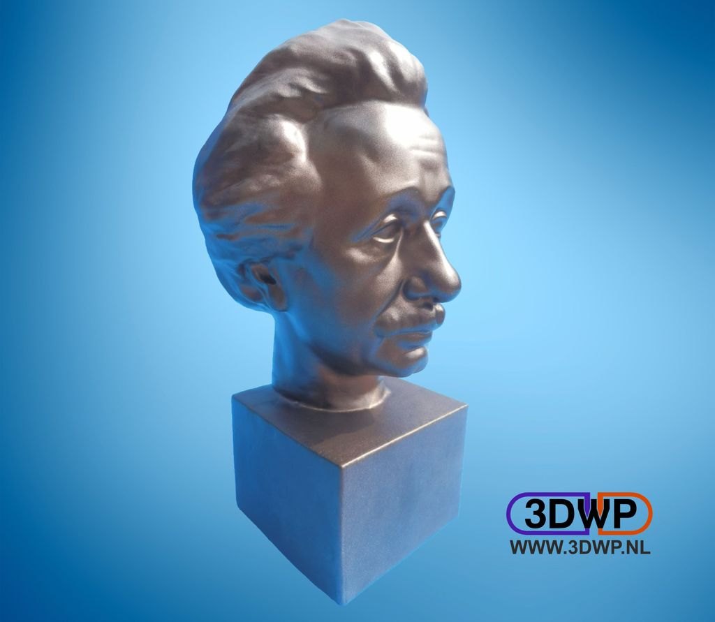 Albert Einstein Bust 3D Scan