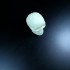 Mayan Skull 3D Scan (Hollow) image