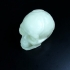Mayan Skull 3D Scan (Hollow) image
