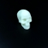 Celtic Skull 3D Scan (Hollow) image